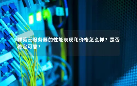 群英云服务器的性能表现和价格怎么样？是否稳定可靠？