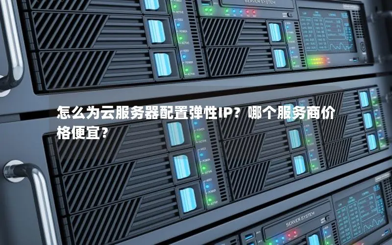 怎么为云服务器配置弹性IP？哪个服务商价格便宜？