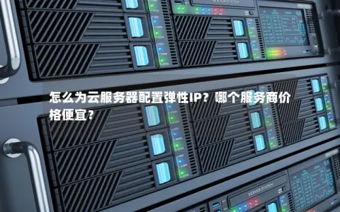 怎么为云服务器配置弹性IP？哪个服务商价格便宜？