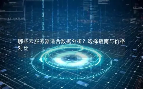 哪些云服务器适合数据分析？选择指南与价格对比