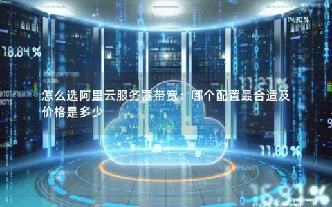 怎么选阿里云服务器带宽：哪个配置最合适及价格是多少