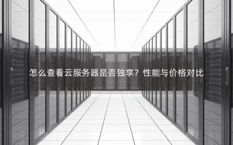 怎么查看云服务器是否独享？性能与价格对比