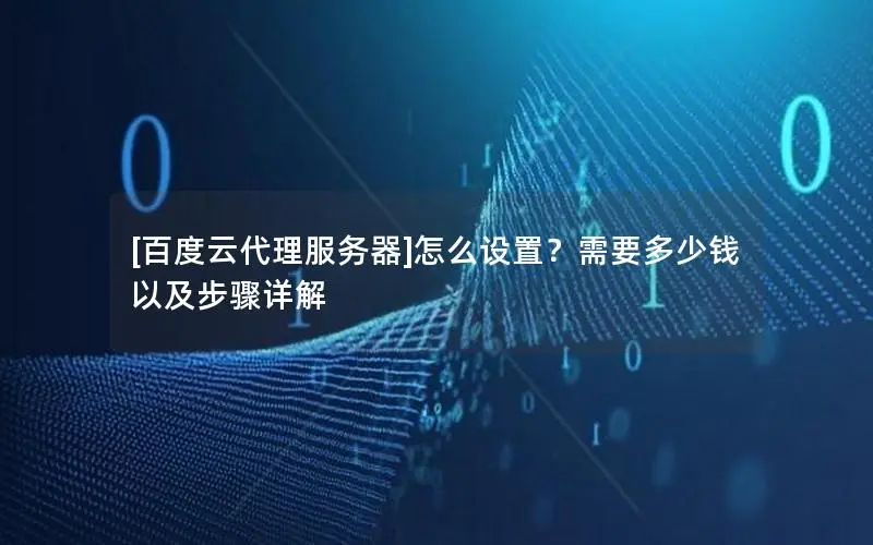 [百度云代理服务器]怎么设置？需要多少钱以及步骤详解