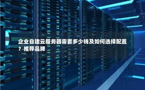 企业自建云服务器需要多少钱及如何选择配置？推荐品牌