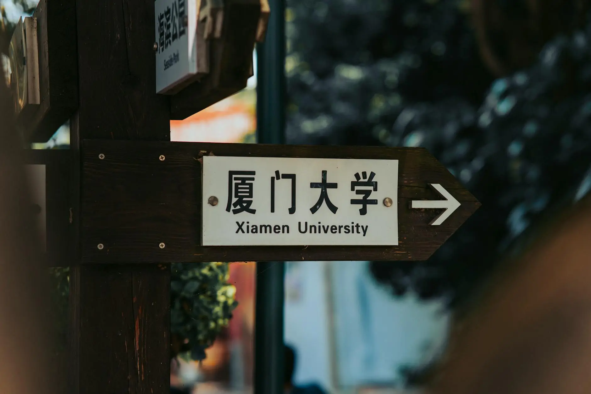 2026年GPU云服务器入门教程：5个步骤轻松上手