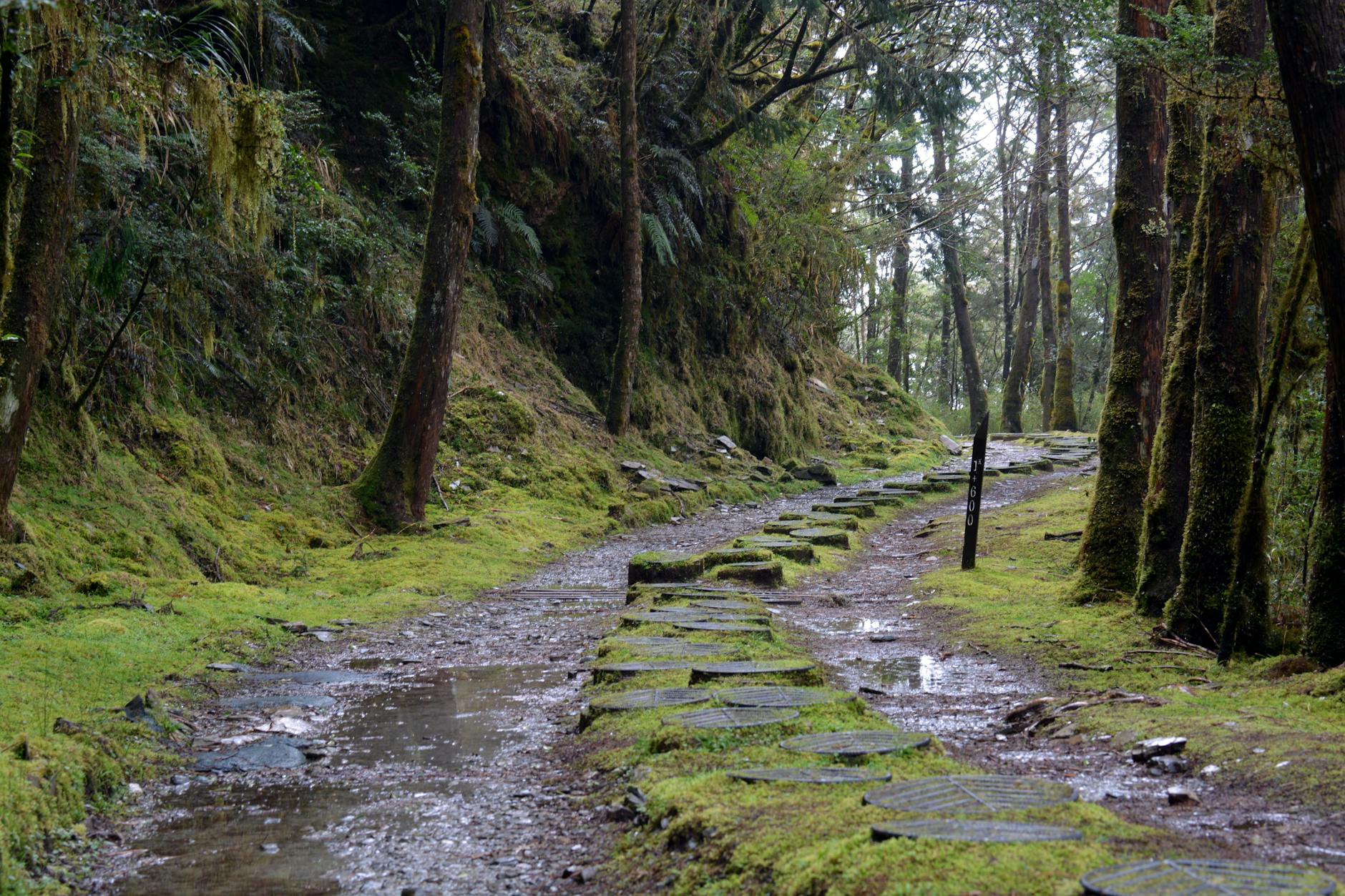 2026年学生必看：如何申请GPU云服务器专属优惠与省钱攻略
