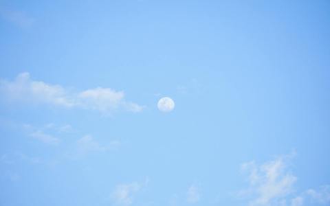 2026年开源GPU云服务器价格揭秘：如何用最低成本获取高性能计算