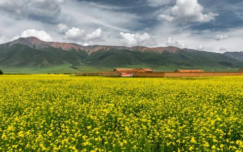 阿里云域名证书下载教程：3步快速完成配置