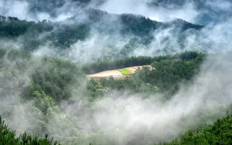 张北阿里云是什么？5分钟看懂核心优势与应用场景