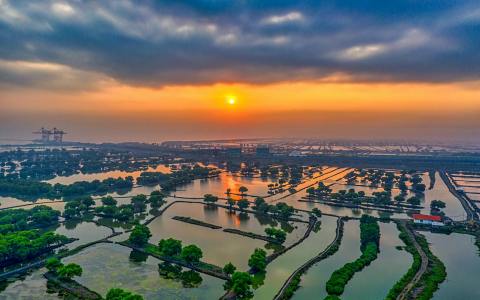 阿里云jar部署全攻略：5步快速上线与常见问题解决