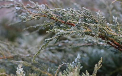 阿里云前缀是什么？5分钟看懂常见用法与设置技巧