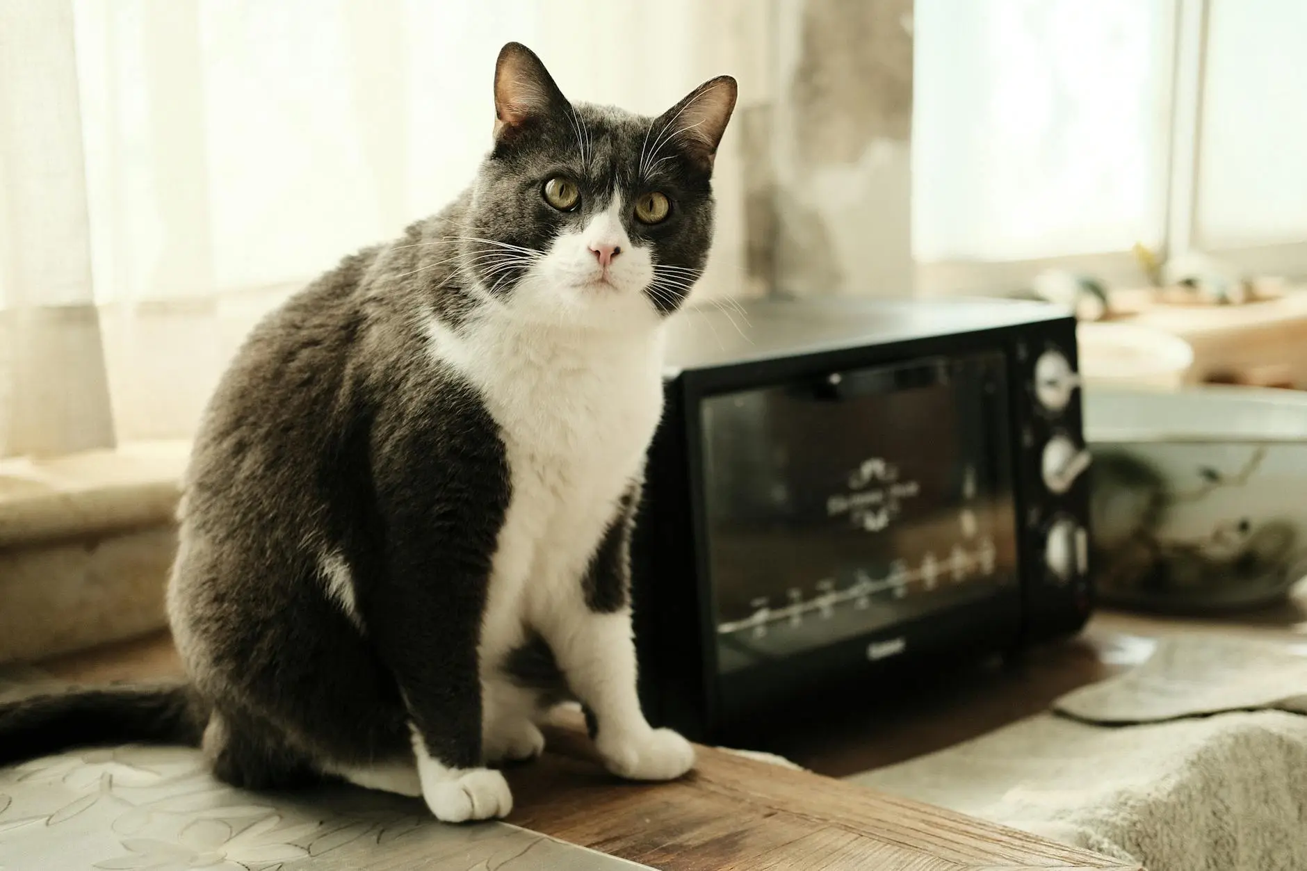 电视猫阿里云怎么用？5个实用技巧帮你快速上手