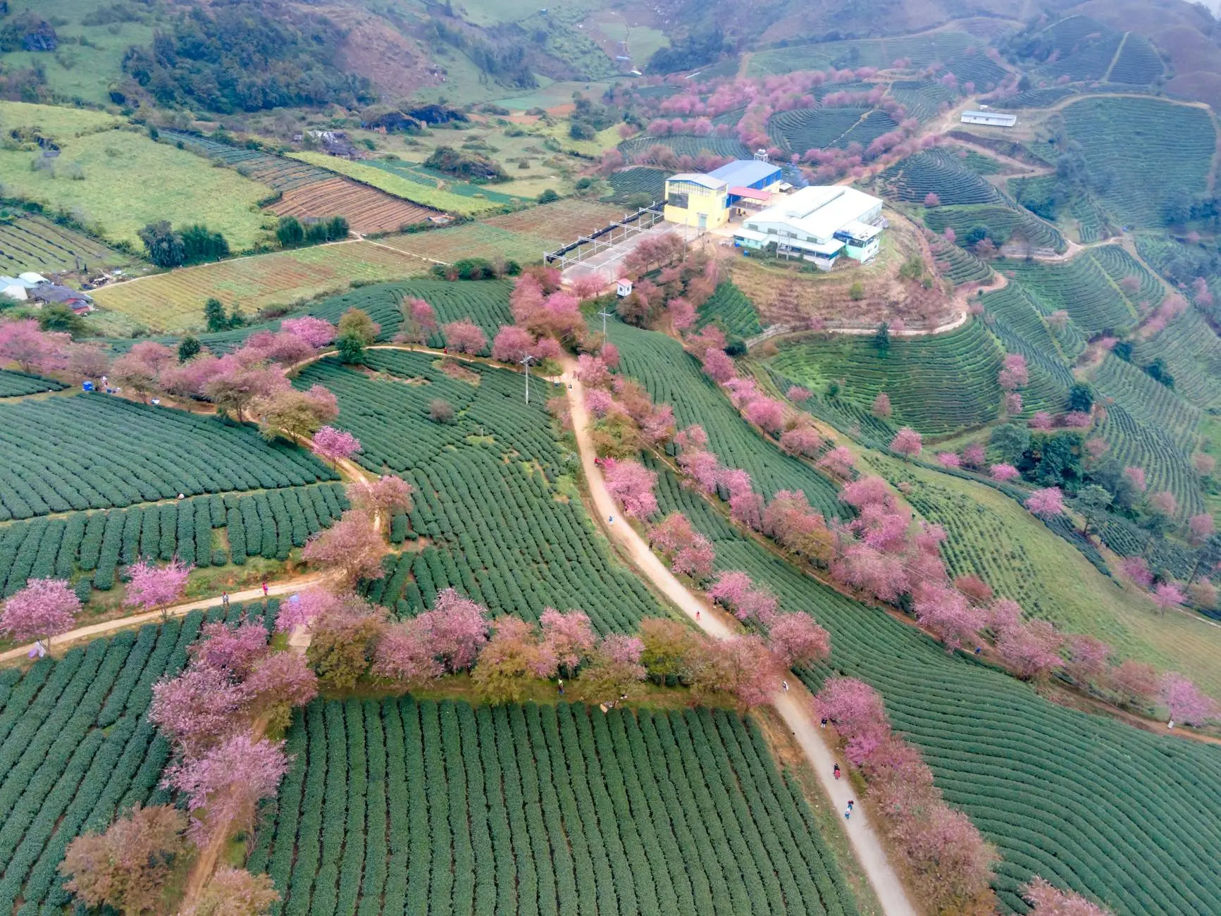 阿里云基地是什么？5分钟看懂功能与入驻价值