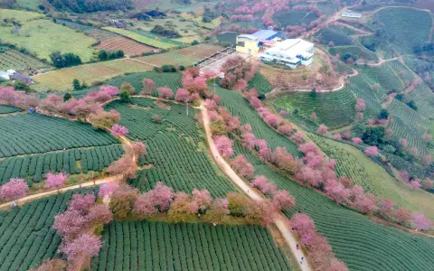 阿里云基地是什么？5分钟看懂功能与入驻价值