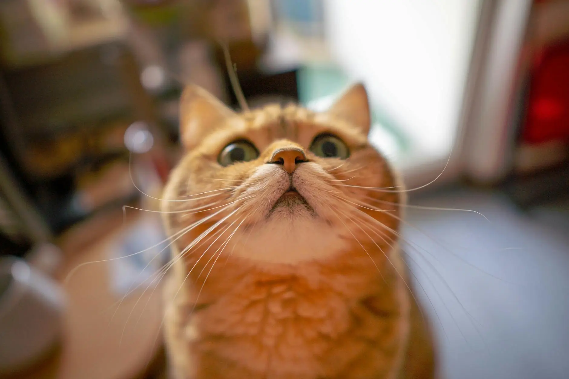 阿里云电视猫怎么用?5步完成安装与优化指南