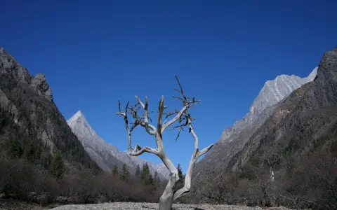 阿里云麒麟是什么？5分钟看懂功能优势与使用场景