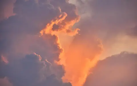 柯莱特和阿里云是什么关系，合作前景怎么样