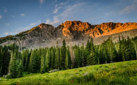别再盲信“阿里云强大不”了，这些隐藏坑点必须先搞清！