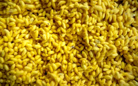 警惕!阿里云回退内核前必看,少走90%大坑