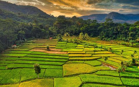 阿里云部署Java项目全流程：新手也能一次上线成功