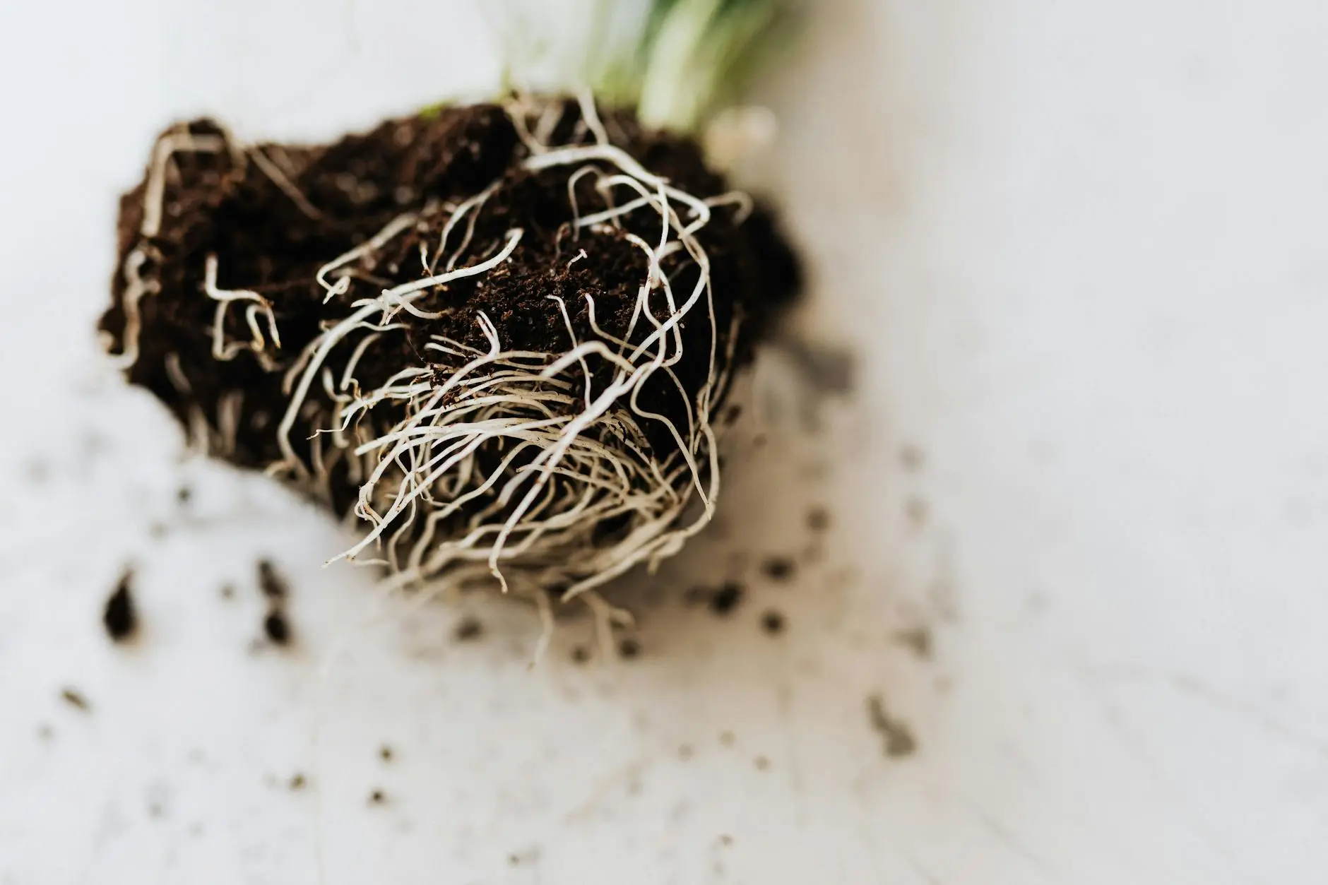 阿里云手机系统Root教程:安全获取权限的详细方法