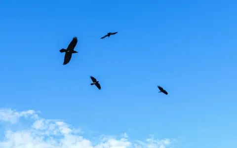 阿里云经典网络下线后，我实测这样迁移最省心
