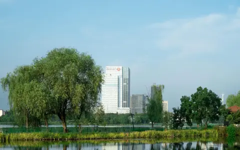 阿里云企业邮箱主账号到底能管理哪些关键权限？