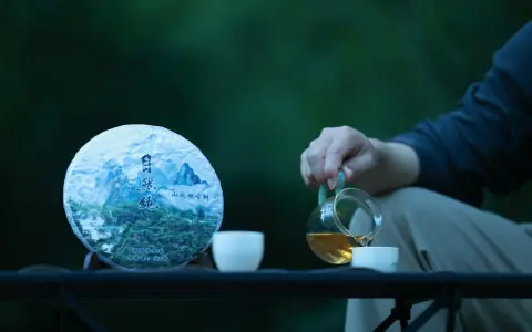 阿里云茶对比盘点：功能、价格与适用场景排行