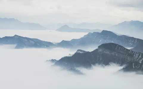 阿里云左布啦到底是什么，为什么最近这么多人在关注？