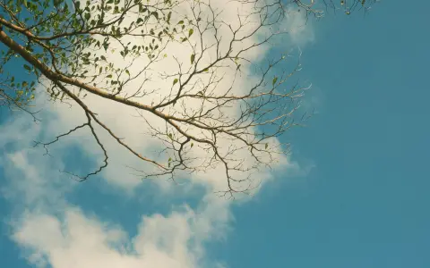 阿里云续期太贵怎么办?一招教你省下大笔续费钱