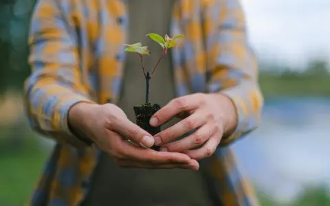 阿里云种子到底是啥？一文给你唠明白
