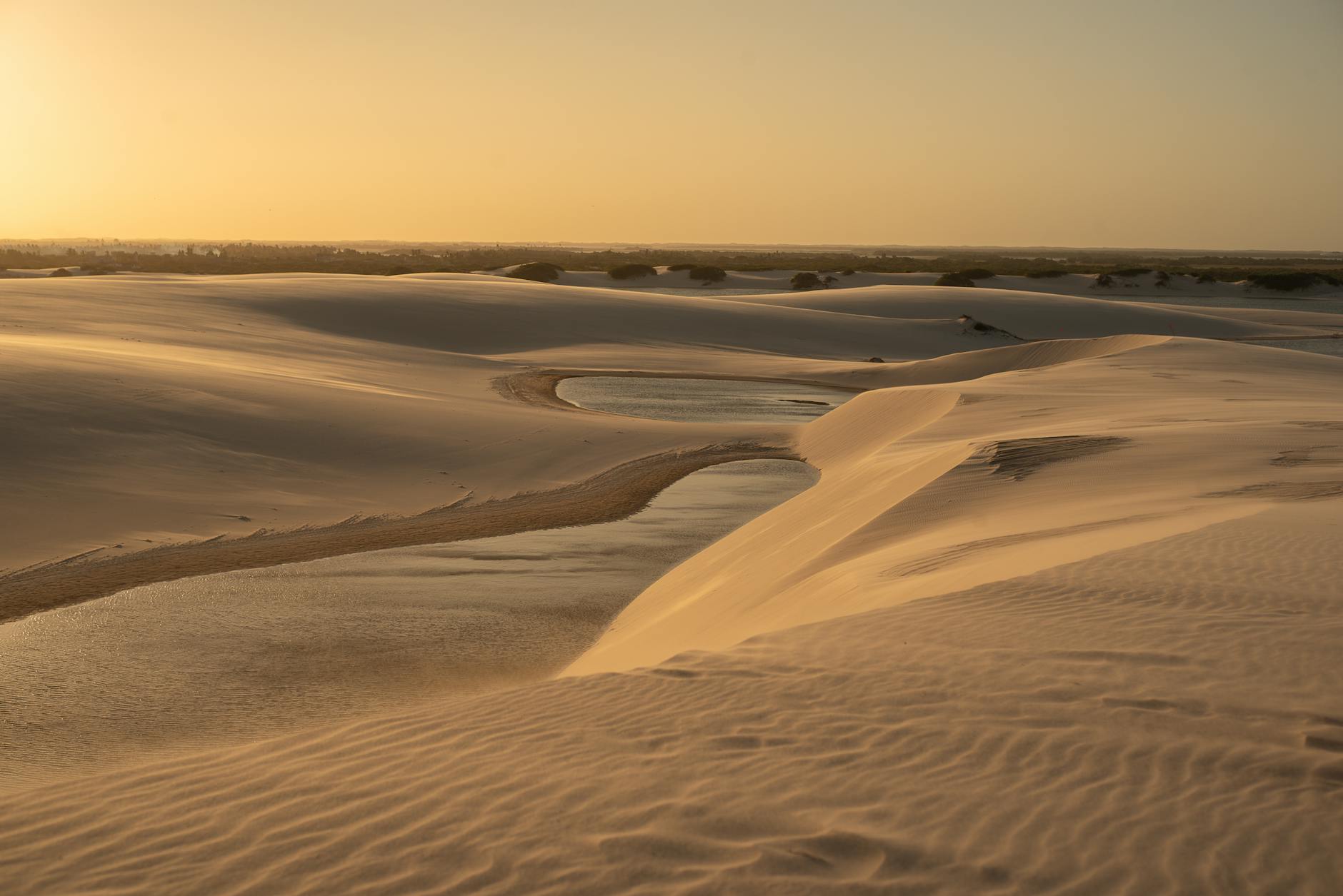 阿里日当天马云几点开始直播？