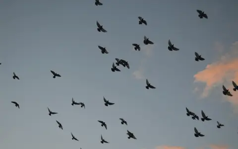 阿里云数据迁移到底怎么做才能又快又稳？