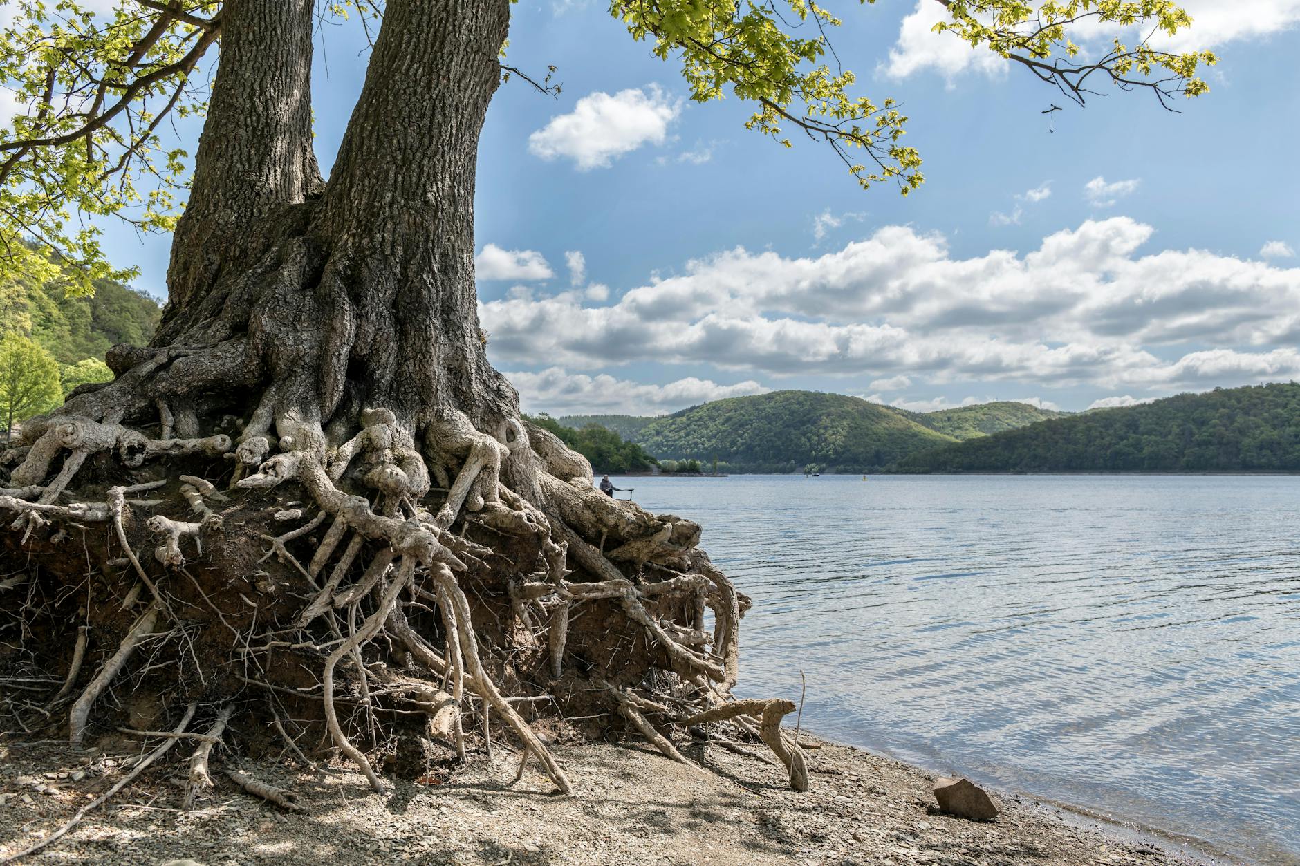 阿里云Root权限管理的5个实用技巧