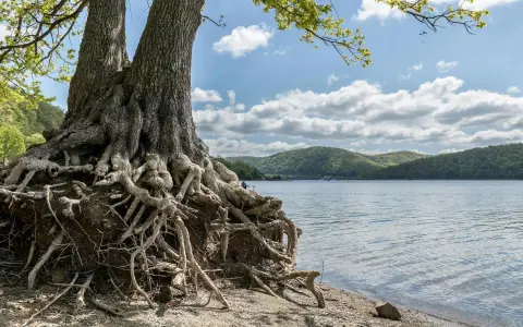 阿里云Root权限管理的5个实用技巧