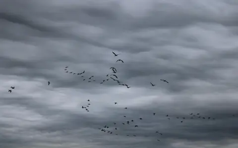 腾讯云数据迁移怎么搞，手把手教你少走弯路