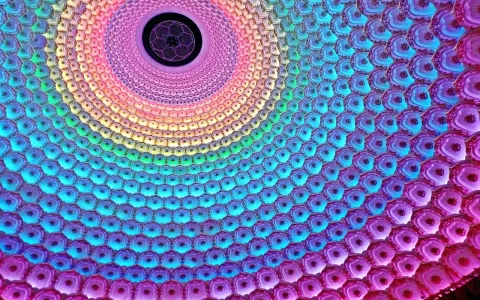 阿里云的核心用途与企业上云的真实价值解析