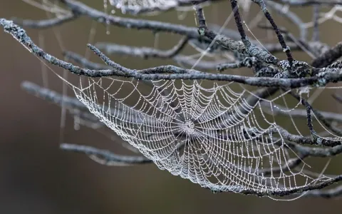 阿里云EDAS到底强在哪？一文看懂企业级微服务治理秘诀