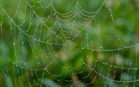 腾讯云王龙相关信息别乱信，这些识别陷阱一定先避开