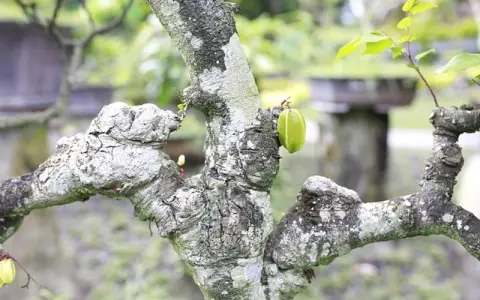 腾讯云电子合同怎么下载并导出原件？