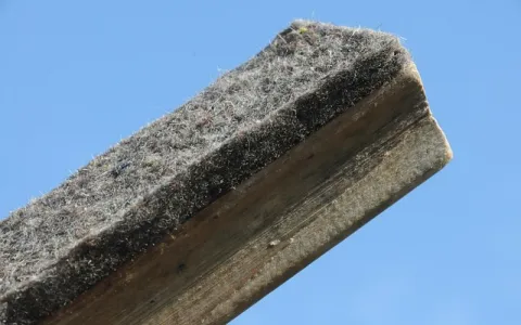 腾讯云如何助力深圳报业教育集团实现教育数字化升级？