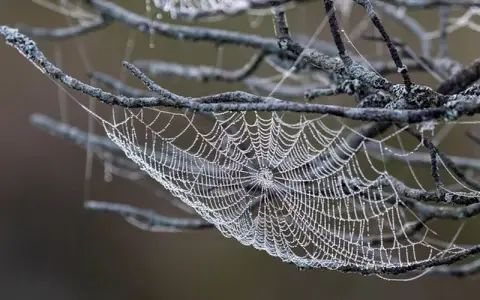 腾讯云Apache无法访问的根因排查与修复实战指南