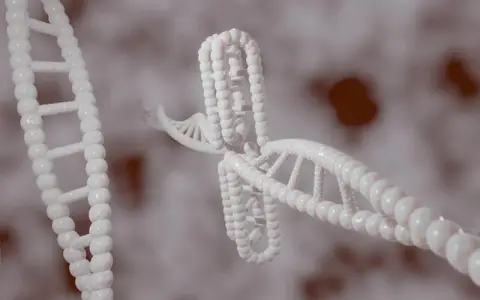 腾讯云生物信息学如何重塑科研效率与精准医疗实践