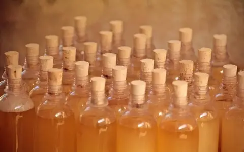 圣湘生物医药腾讯云携手突围，数字化如何重塑生物医药未来