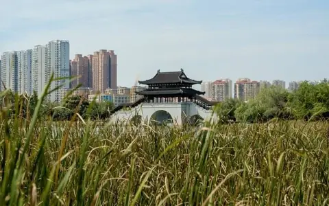 腾讯云启数字产业园正定：区域数字经济升级的新引擎