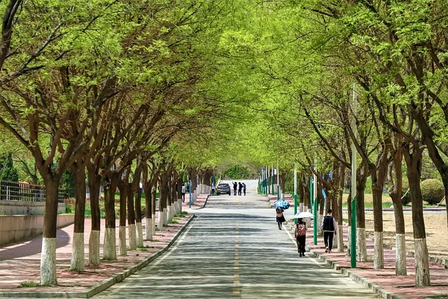 腾讯云华南农业大学招聘全攻略:7个岗位方向与3步求职准备法