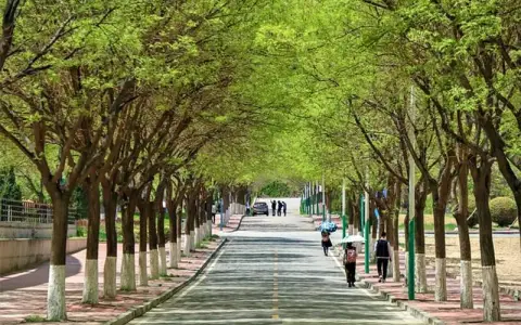 腾讯云华南农业大学招聘全攻略：7个岗位方向与3步求职准备法