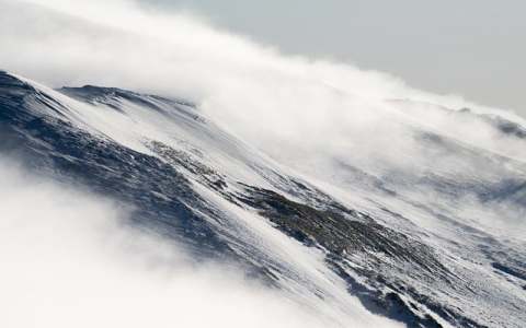 刘凯谈腾讯云原生加速器：企业技术增长的新引擎