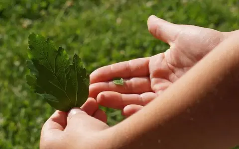 博思软件和腾讯云哪个好？从场景、成本与落地效果全面分析