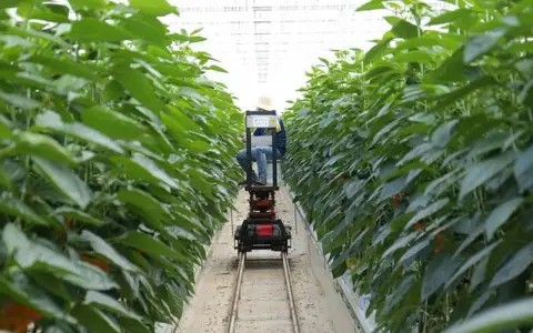 腾讯云盘怎么看电视直播？原理、方法与避坑指南一次讲清